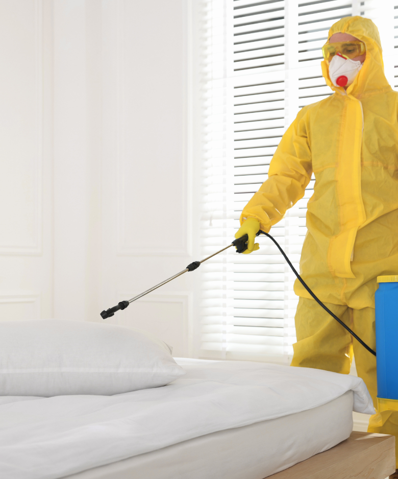 Professional Pest Control Team in Black Forest